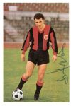 Saison 1966/1967