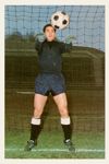 Saison 1967/1968